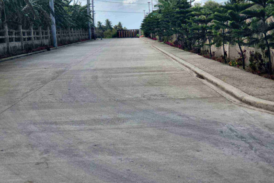 Land for Sale in Mangas I, Alfonso, Cavite – photo 6