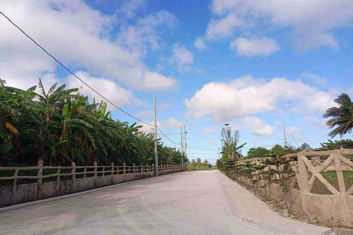Land for Sale in Mangas I, Alfonso, Cavite – photo 7