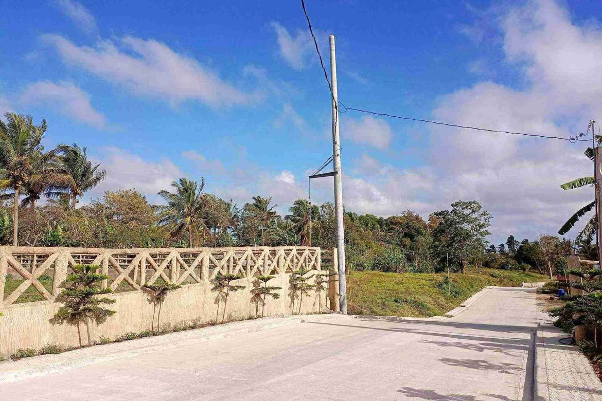 Land for Sale in Mangas I, Alfonso, Cavite – photo 8