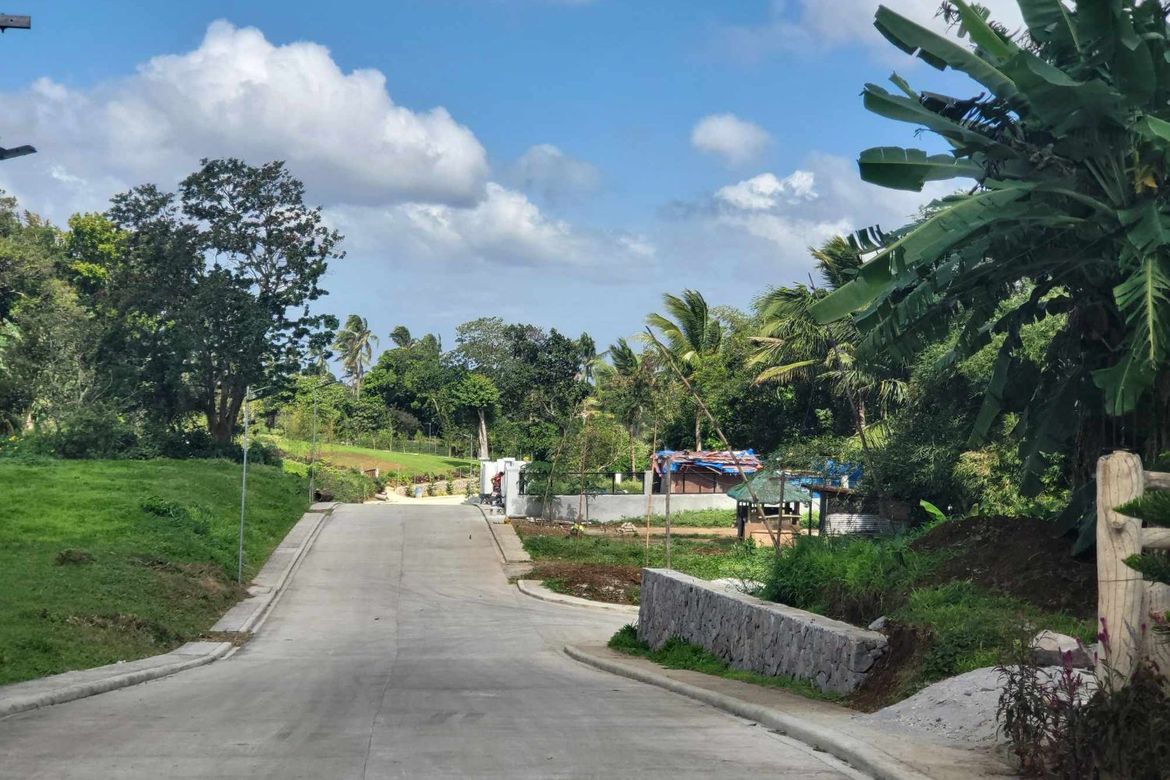 Land for Sale in Mangas I, Alfonso, Cavite – photo 4