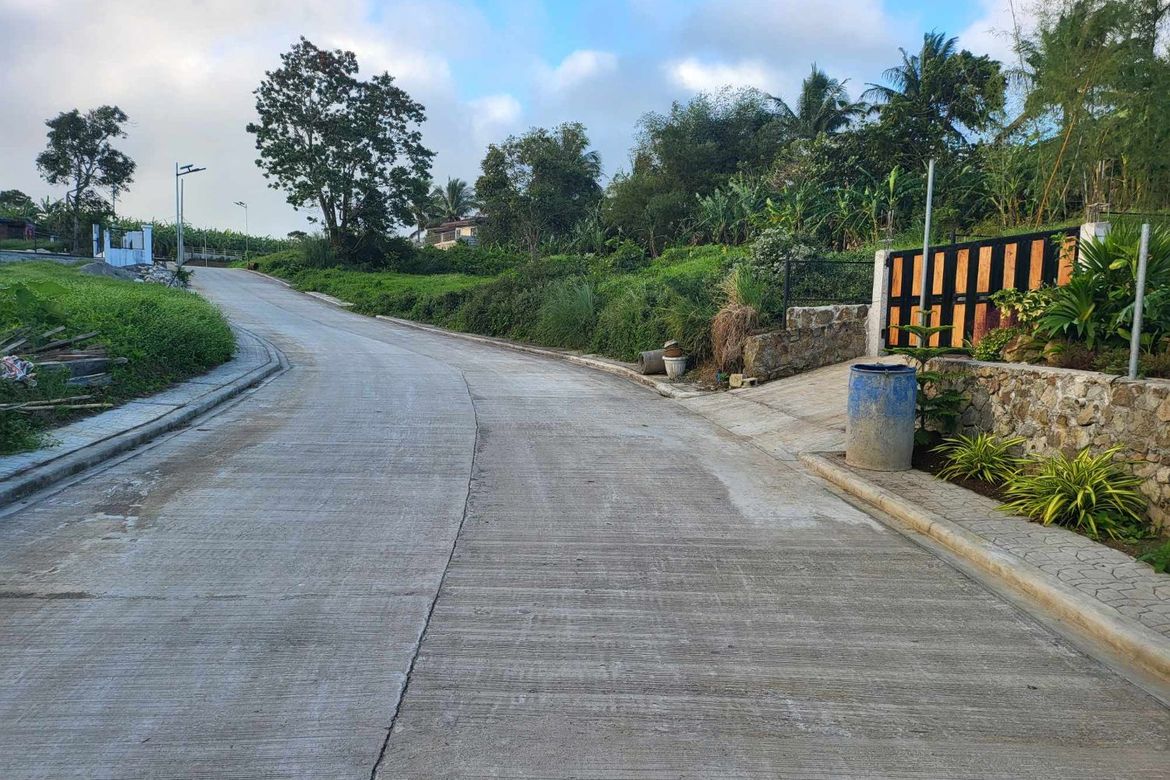 Land for Sale in Mangas I, Alfonso, Cavite – photo 8