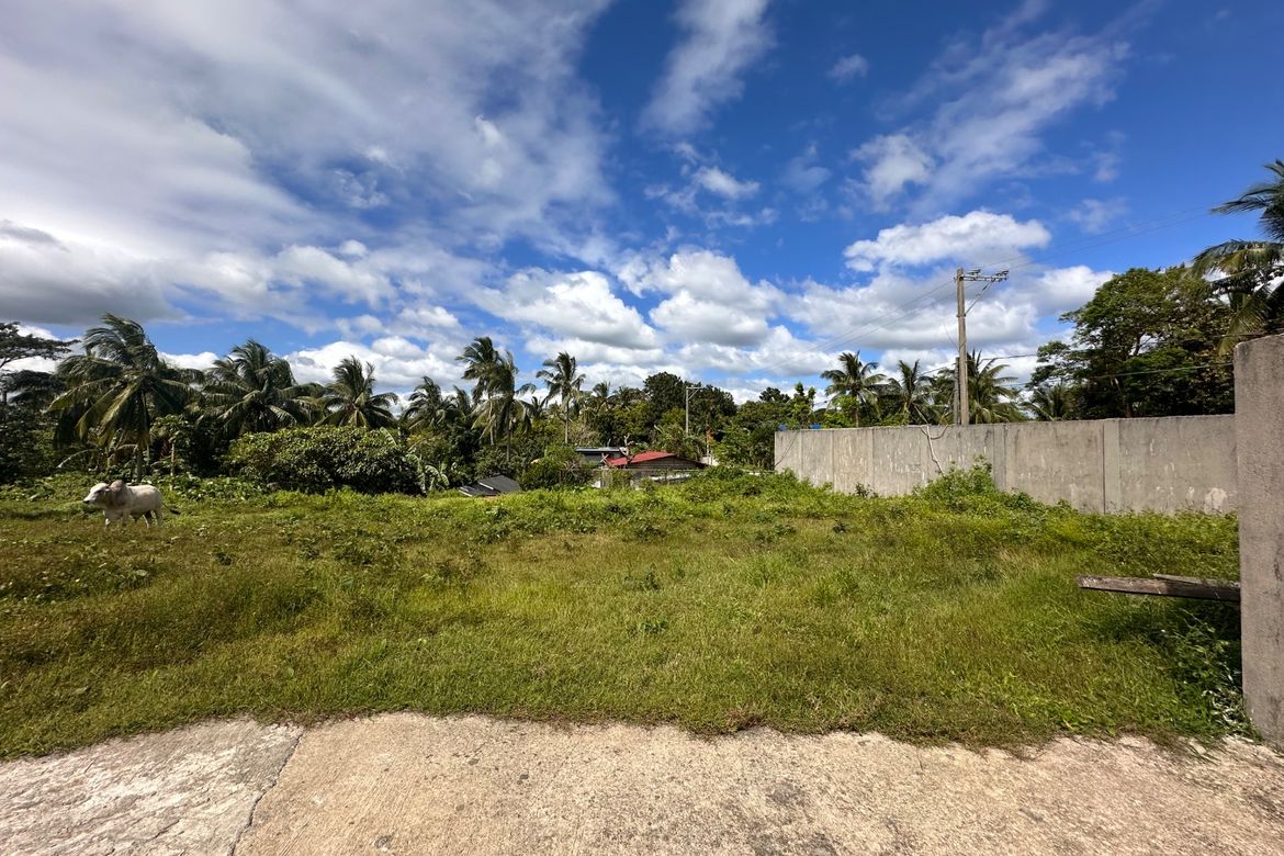 Land for Sale in Mangas I, Alfonso, Cavite – photo 2
