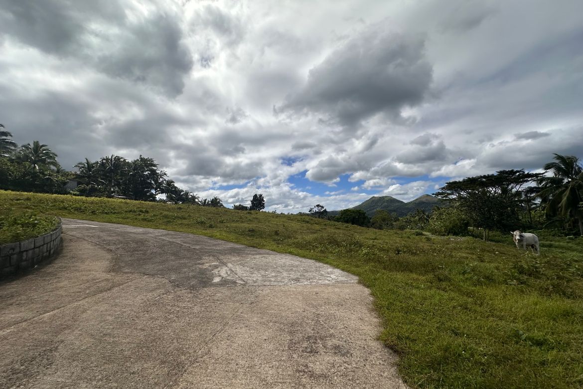 Land for Sale in Mangas I, Alfonso, Cavite – photo 5