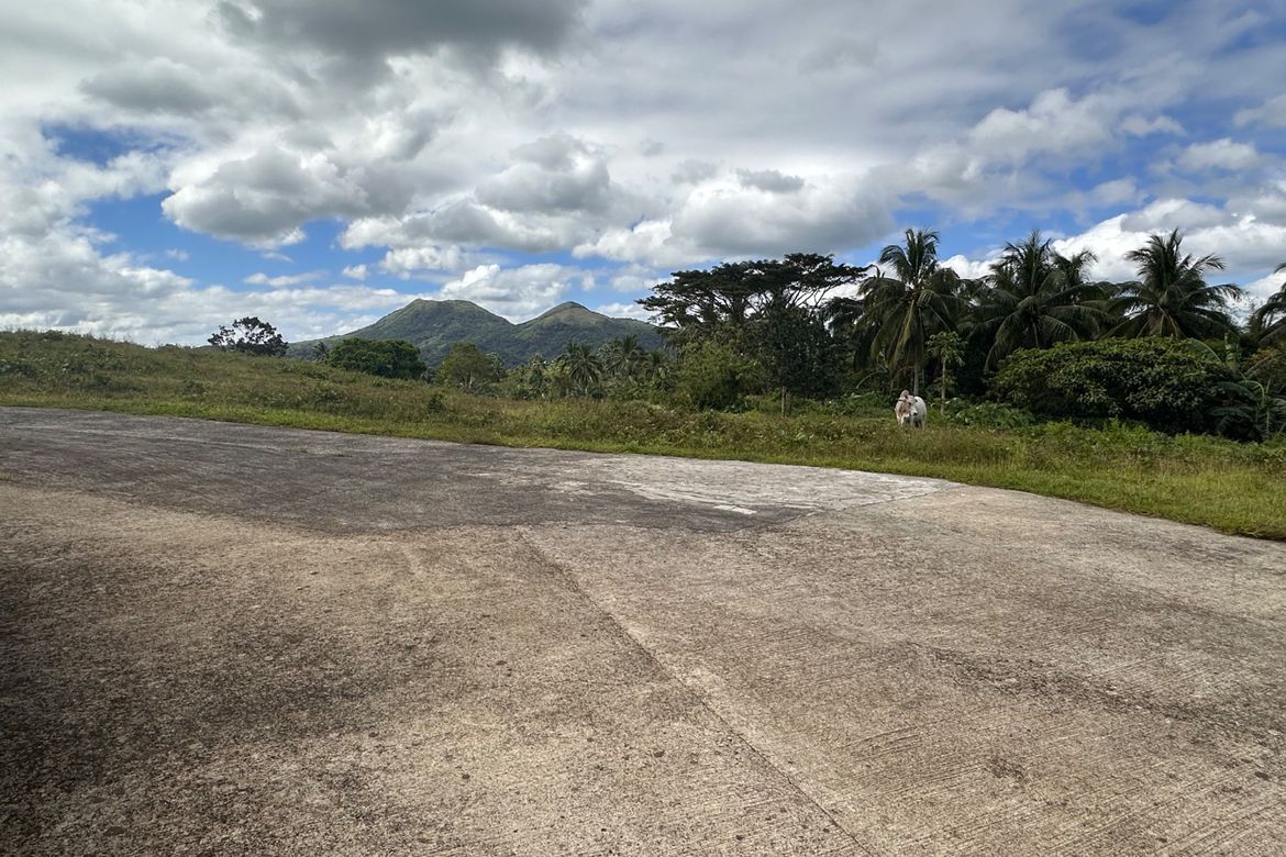 Land for Sale in Mangas I, Alfonso, Cavite – photo 7