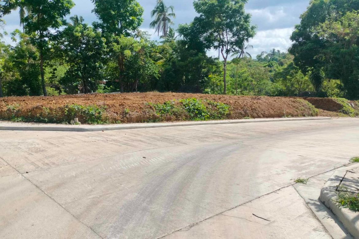 Land for Sale in Mangas I, Alfonso, Cavite