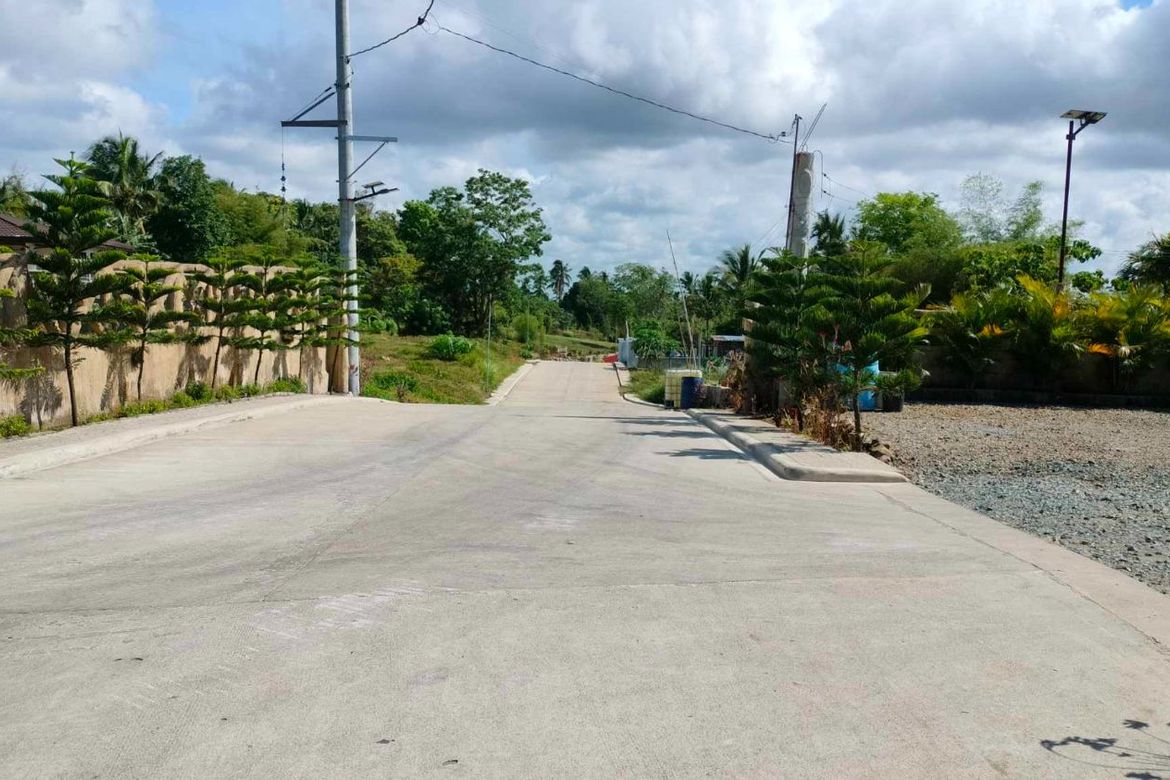 Land for Sale in Mangas I, Alfonso, Cavite – photo 2