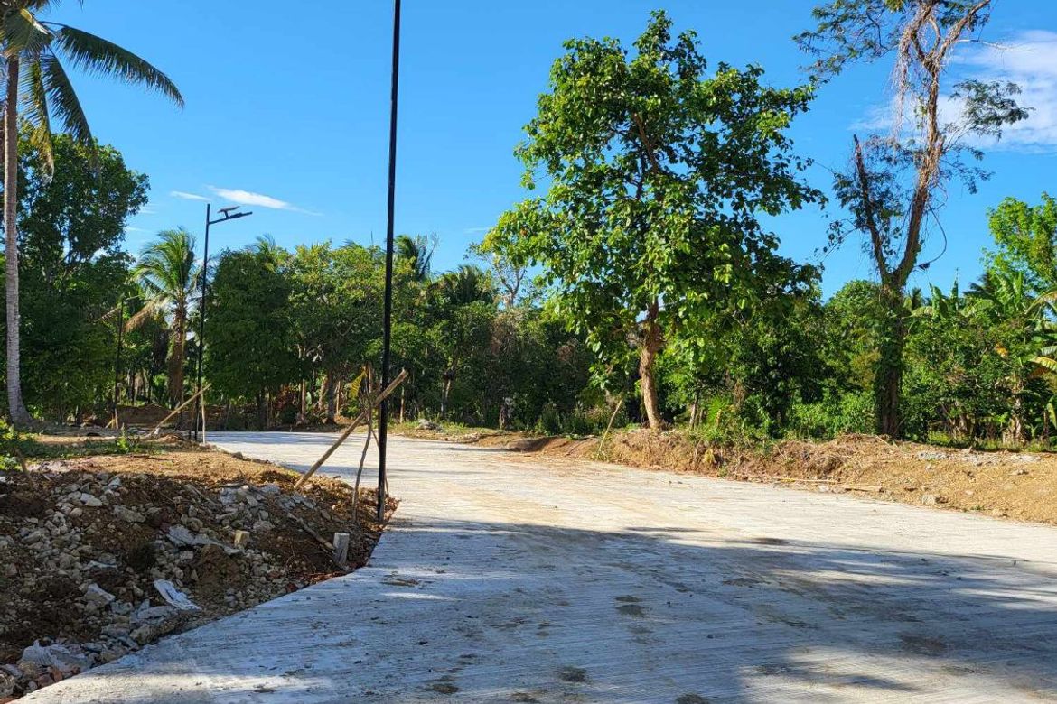Land for Sale in Mangas I, Alfonso, Cavite – photo 5
