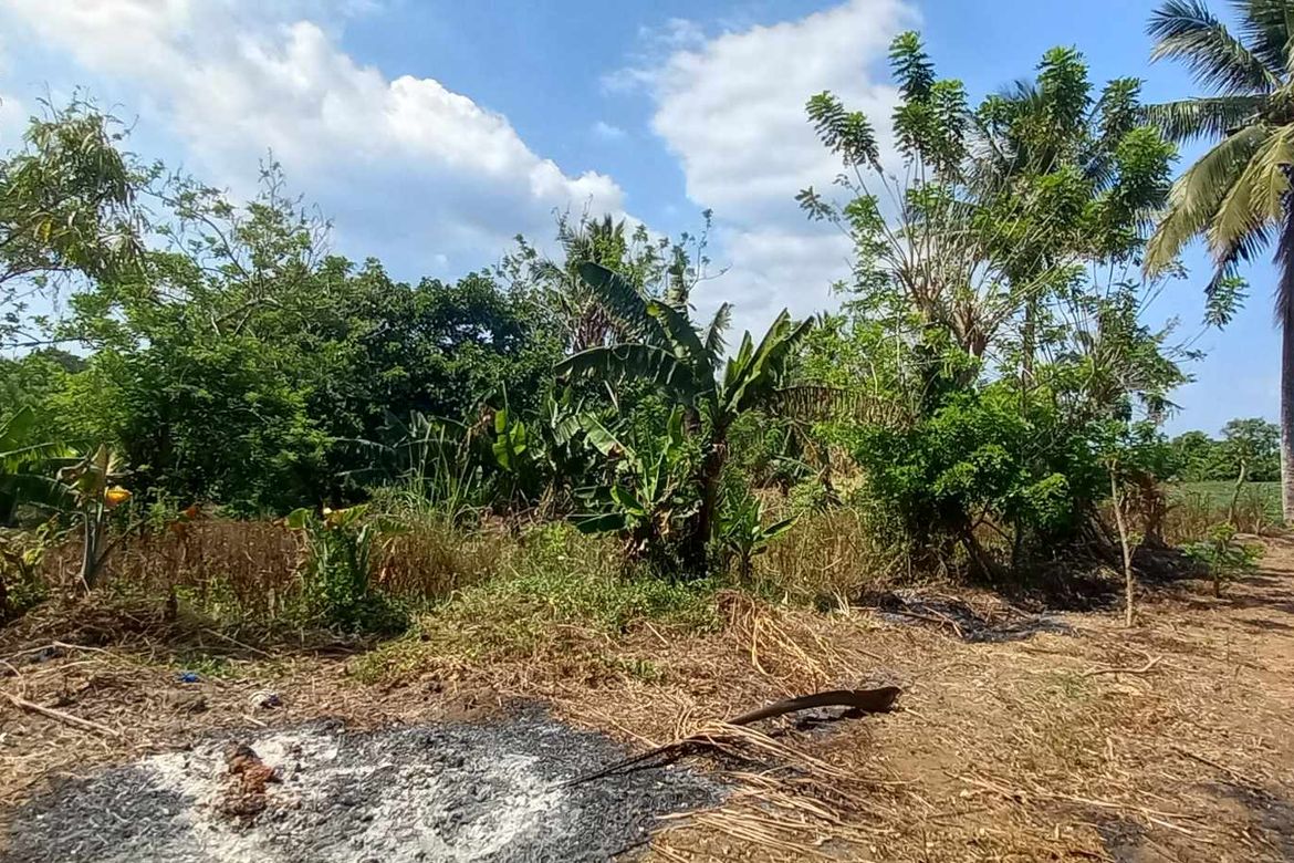 Land for Sale in Mangas I, Alfonso, Cavite