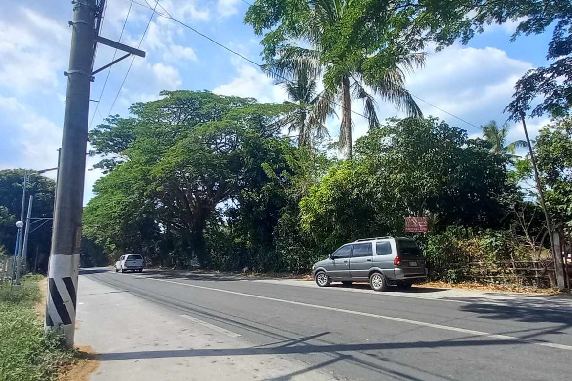 Land for Sale in Mangas I, Alfonso, Cavite – photo 2