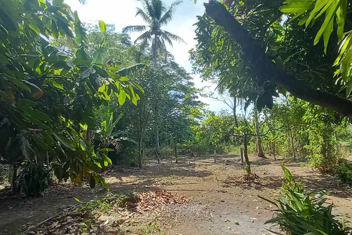 Land for Sale in Mangas I, Alfonso, Cavite – photo 3