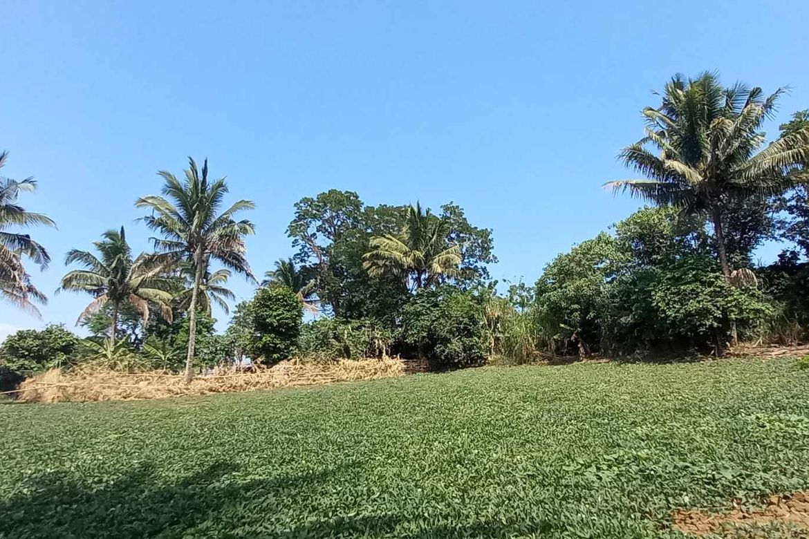 Land for Sale in Mangas I, Alfonso, Cavite – photo 4