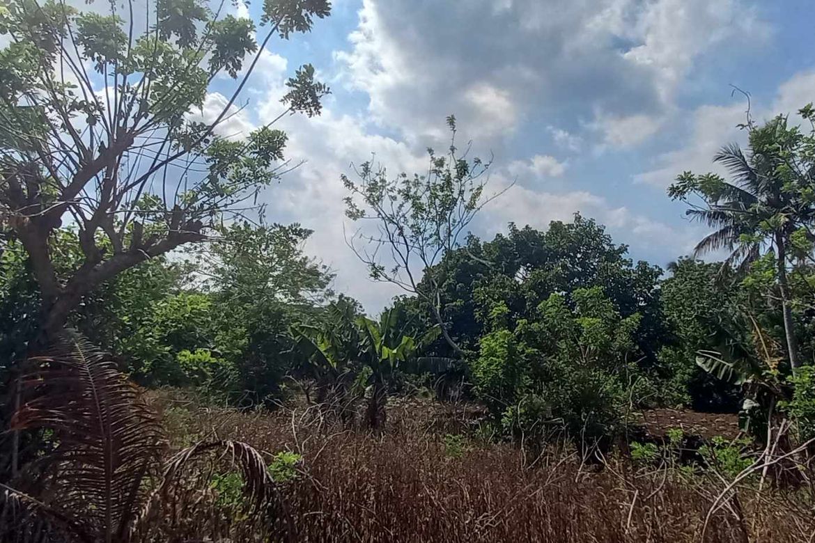 Land for Sale in Mangas I, Alfonso, Cavite – photo 5