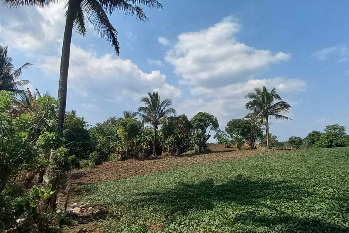 Land for Sale in Mangas I, Alfonso, Cavite – photo 6