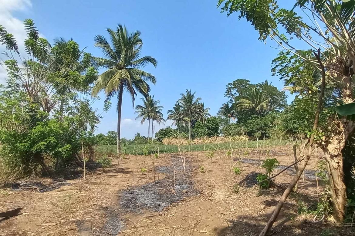 Land for Sale in Mangas I, Alfonso, Cavite – photo 7