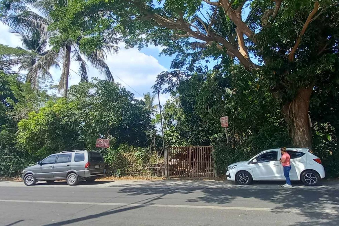 Land for Sale in Mangas I, Alfonso, Cavite – photo 8