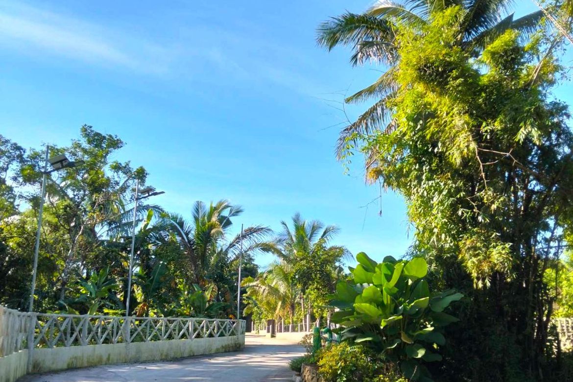 Land for Sale in Mangas I, Alfonso, Cavite – photo 3