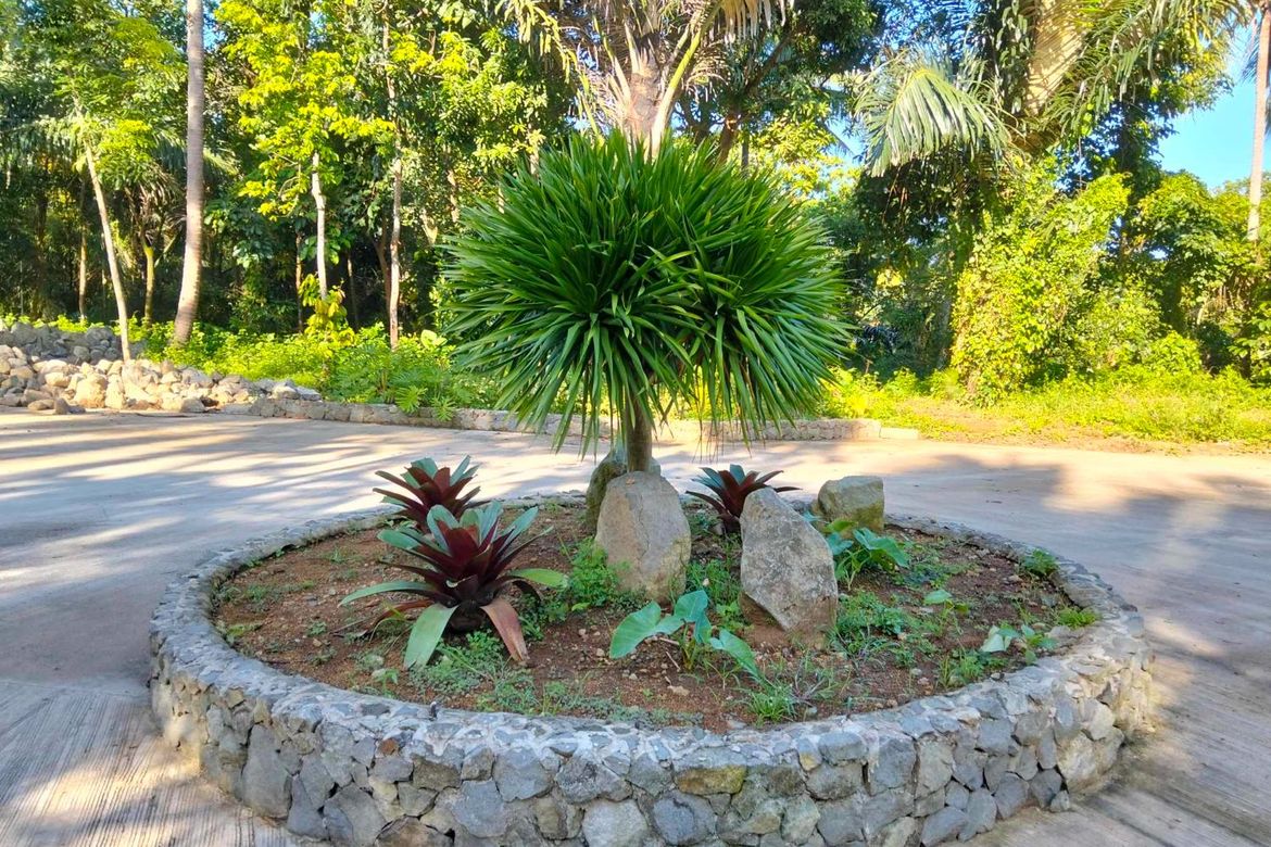 Land for Sale in Mangas I, Alfonso, Cavite – photo 4