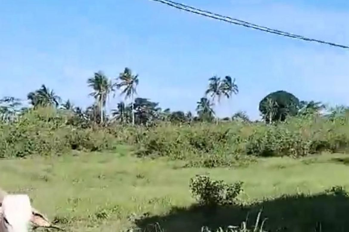 Land for Sale in Mangas I, Alfonso, Cavite
