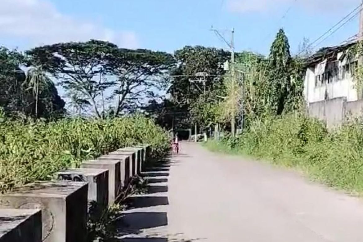 Land for Sale in Mangas I, Alfonso, Cavite – photo 2