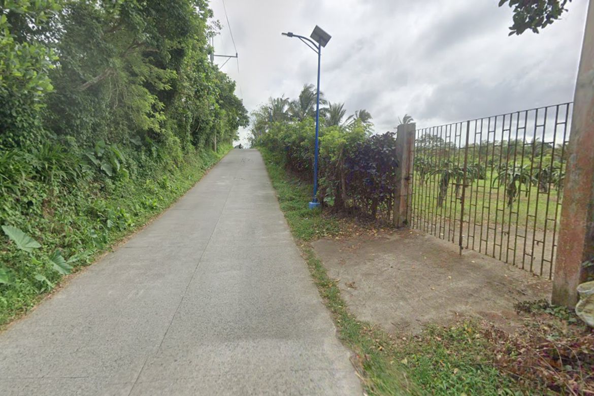 Land for Sale in Mangas I, Alfonso, Cavite