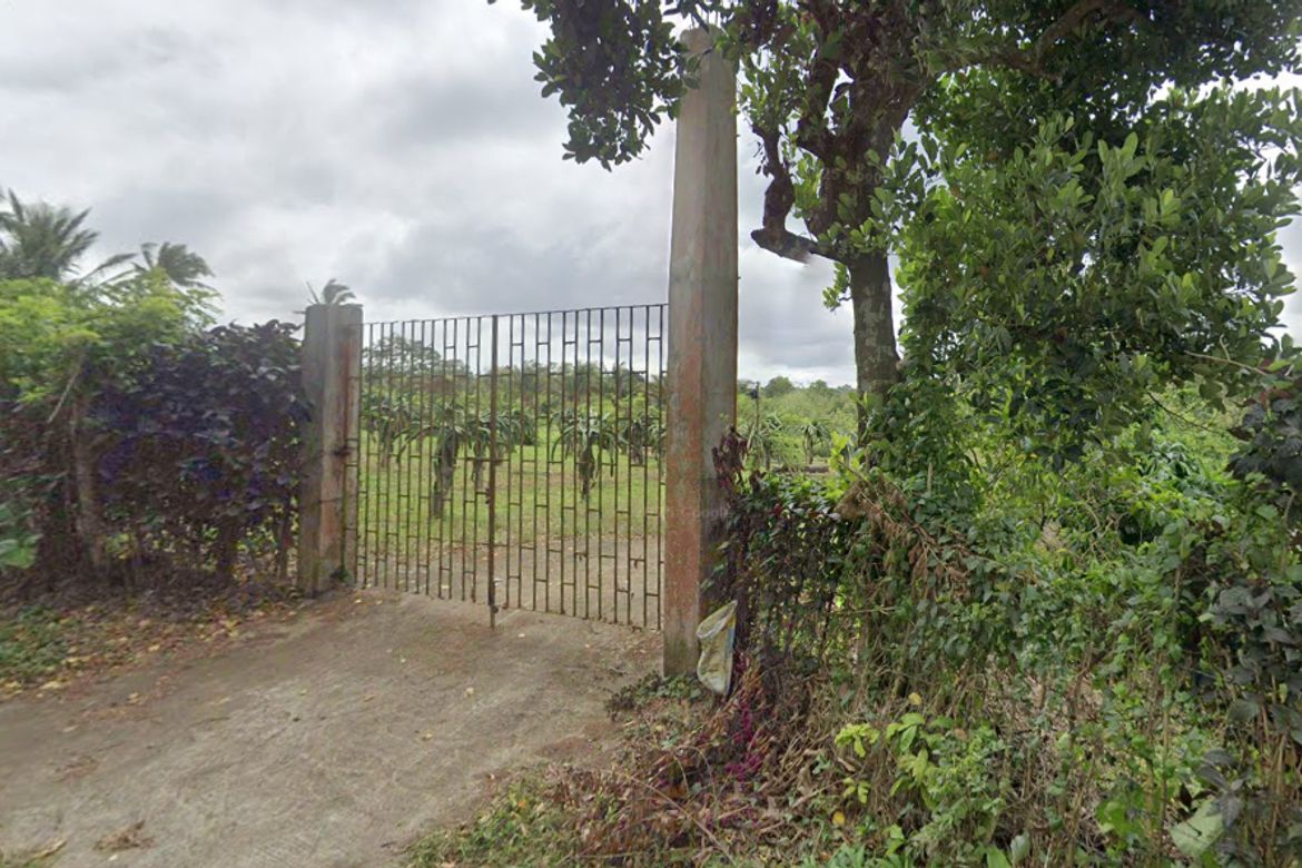 Land for Sale in Mangas I, Alfonso, Cavite – photo 2