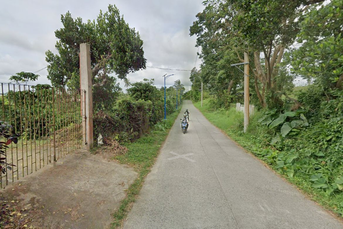 Land for Sale in Mangas I, Alfonso, Cavite – photo 3