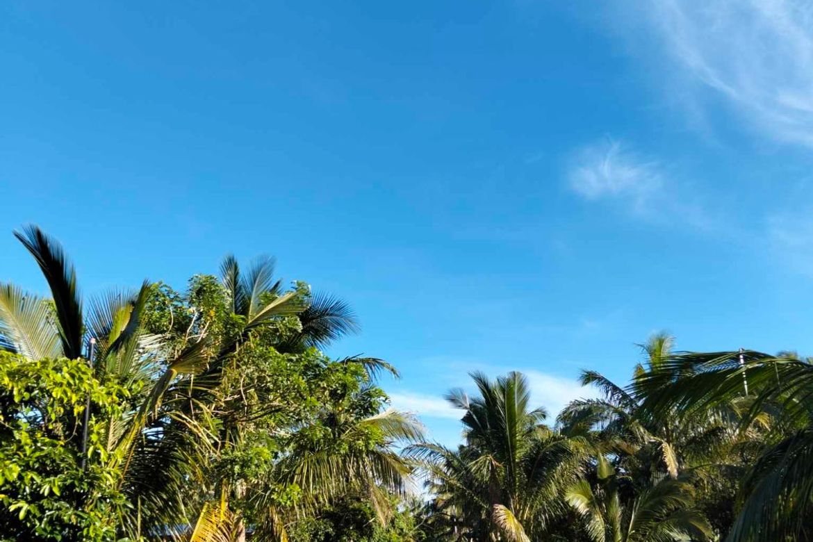 Land for Sale in Mangas I, Alfonso, Cavite