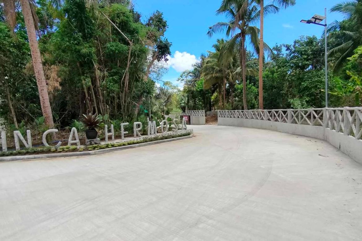 Land for Sale in Mangas I, Alfonso, Cavite – photo 2