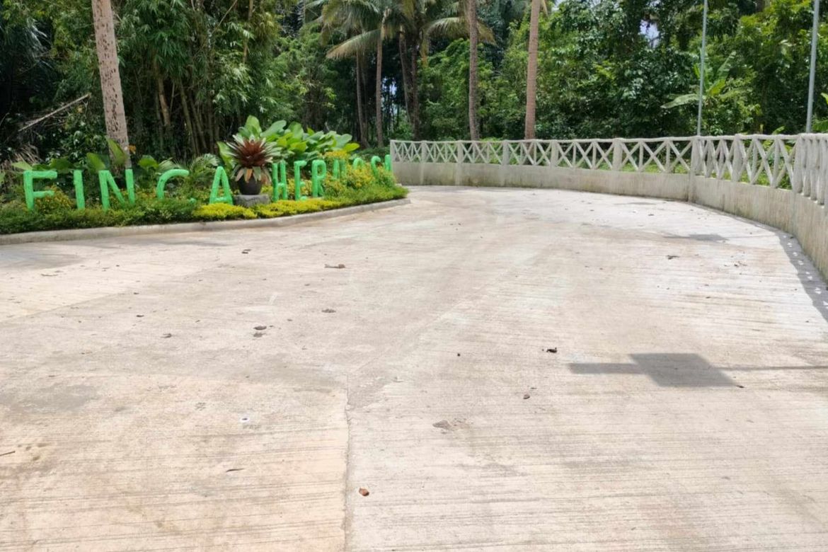 Land for Sale in Mangas I, Alfonso, Cavite – photo 5