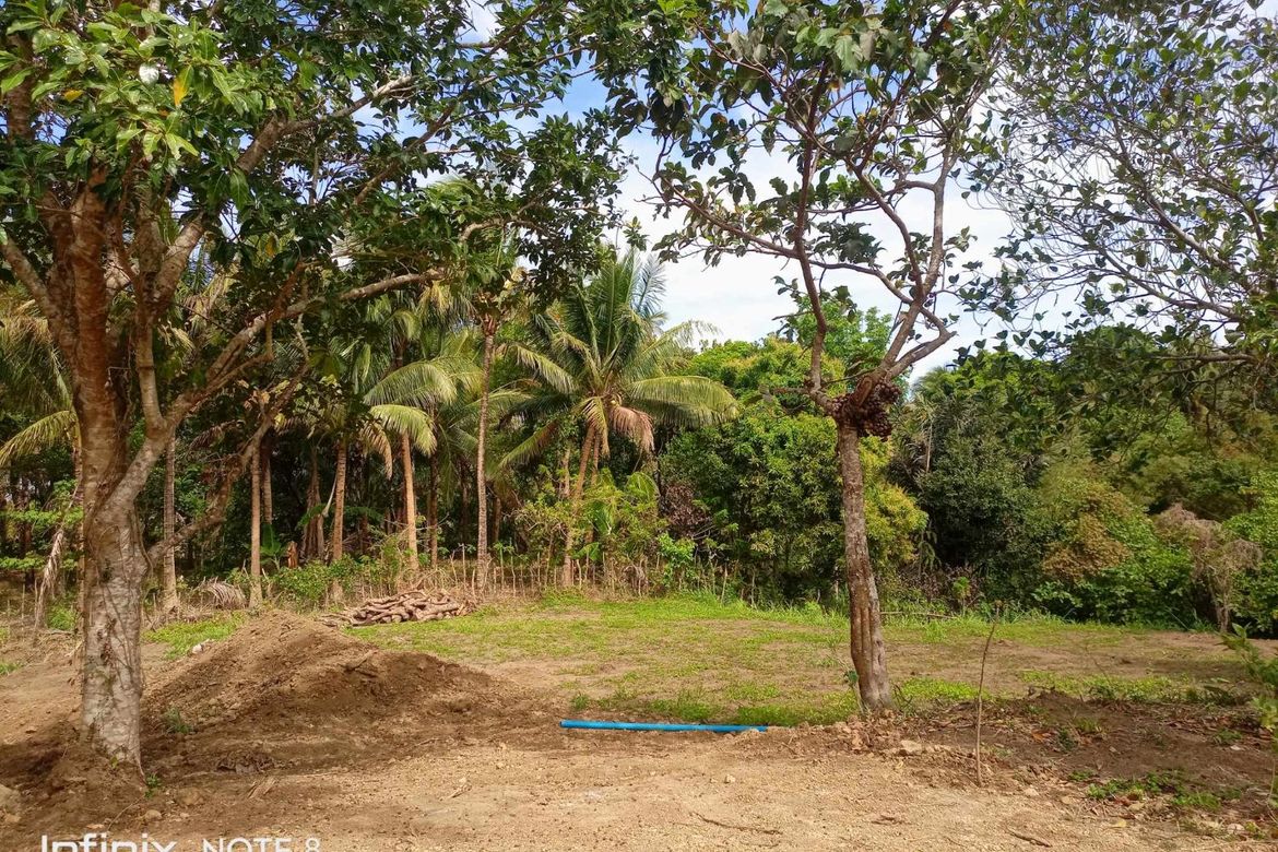 Land for Sale in Mangas I, Alfonso, Cavite – photo 7
