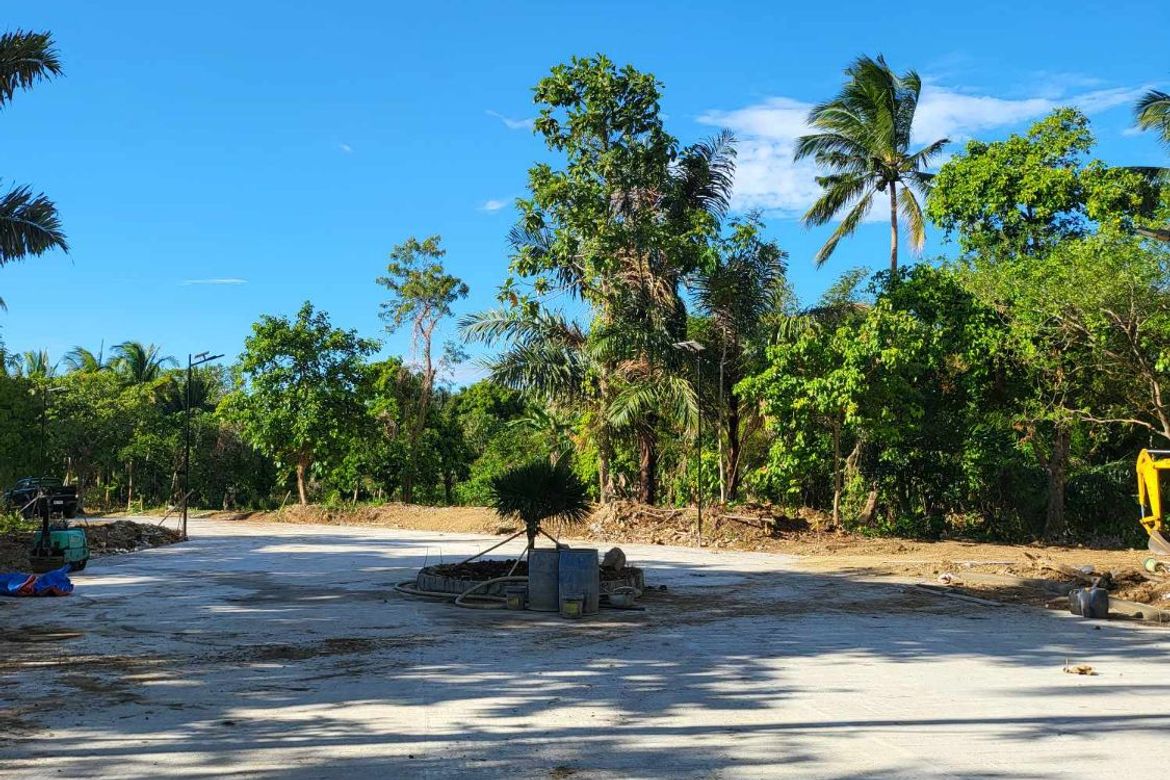 Land for Sale in Mangas I, Alfonso, Cavite – photo 3