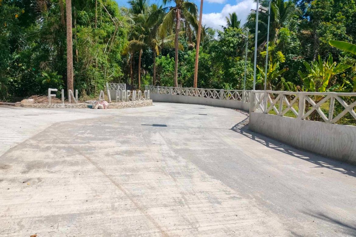 Land for Sale in Mangas I, Alfonso, Cavite – photo 4