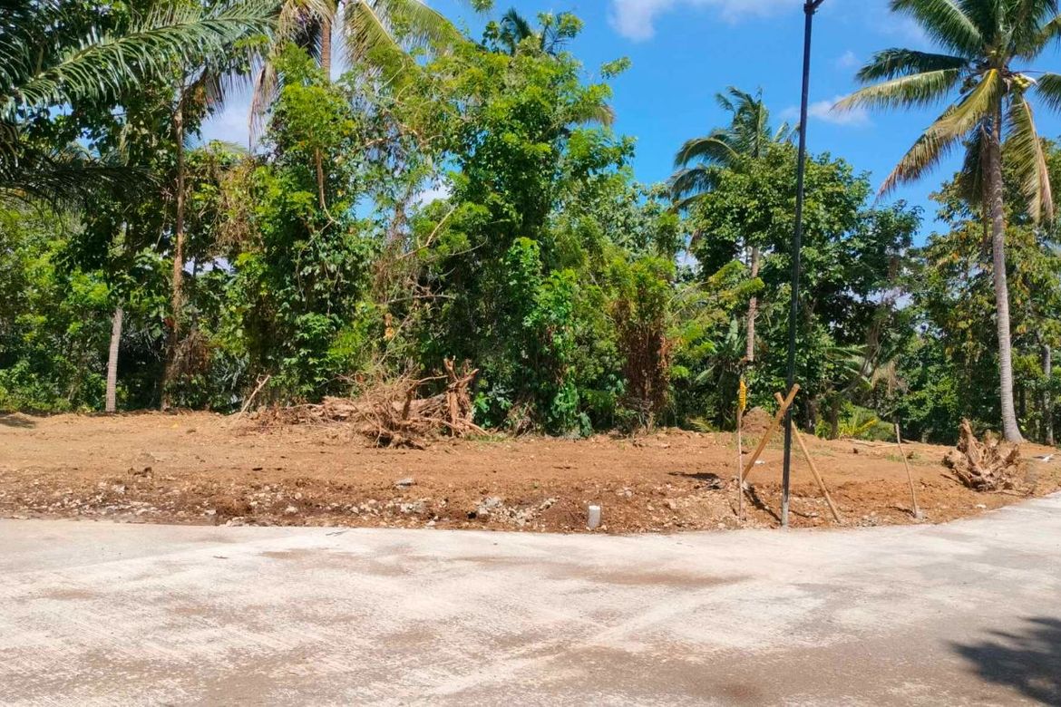Land for Sale in Mangas I, Alfonso, Cavite – photo 5