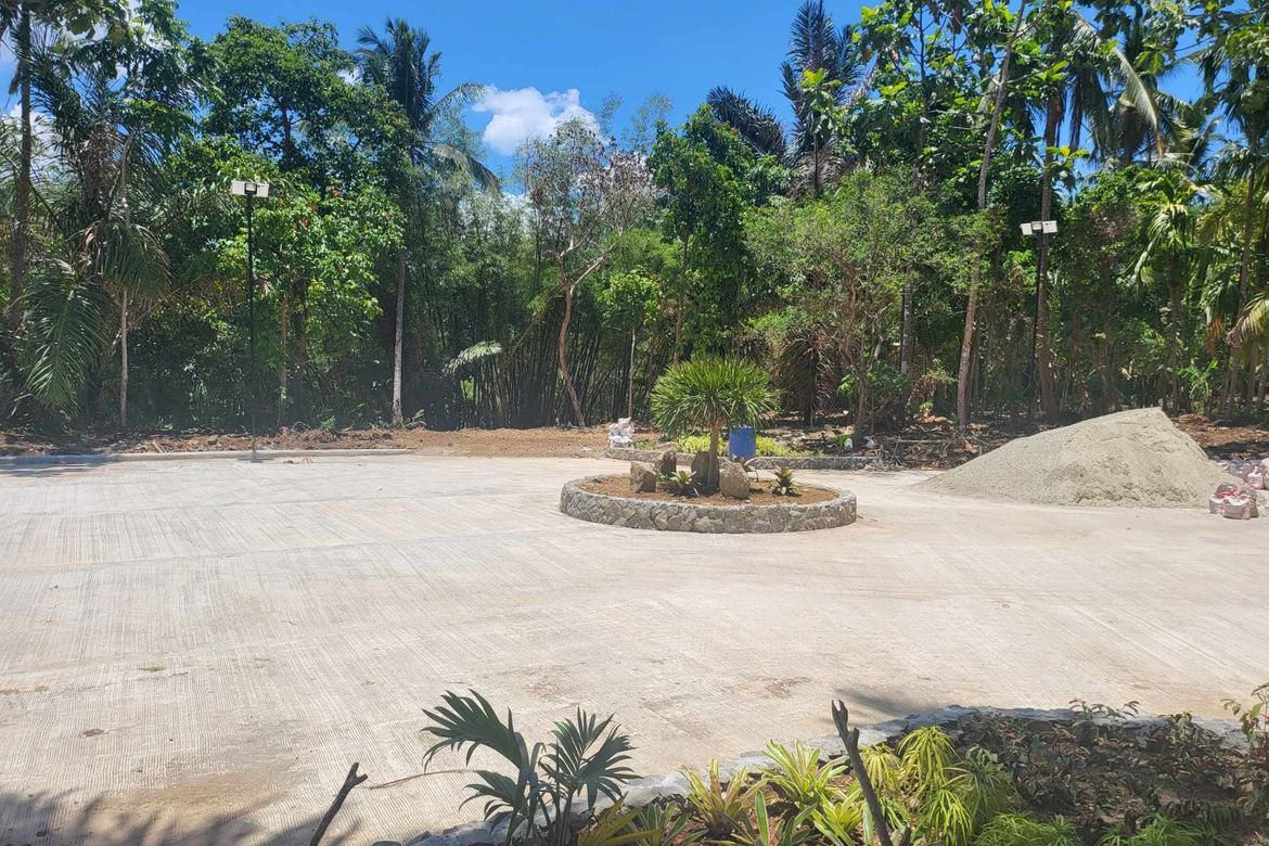 Land for Sale in Mangas I, Alfonso, Cavite – photo 8