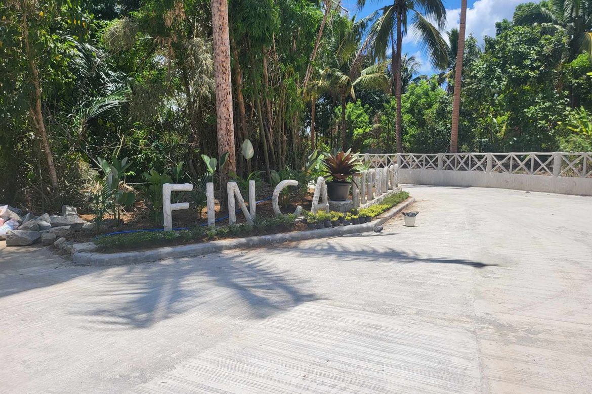 Land for Sale in Mangas I, Alfonso, Cavite – photo 2