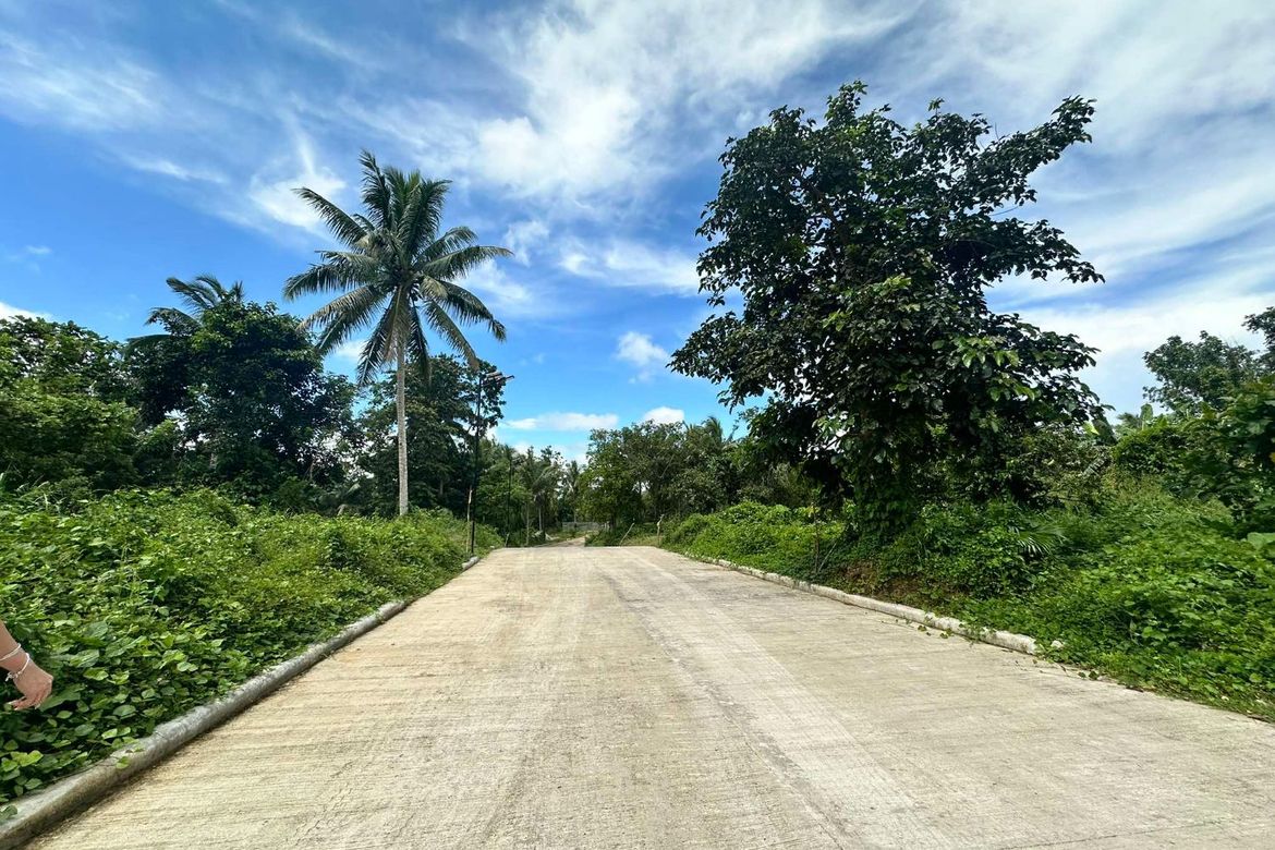 Land for Sale in Mangas I, Alfonso, Cavite – photo 6