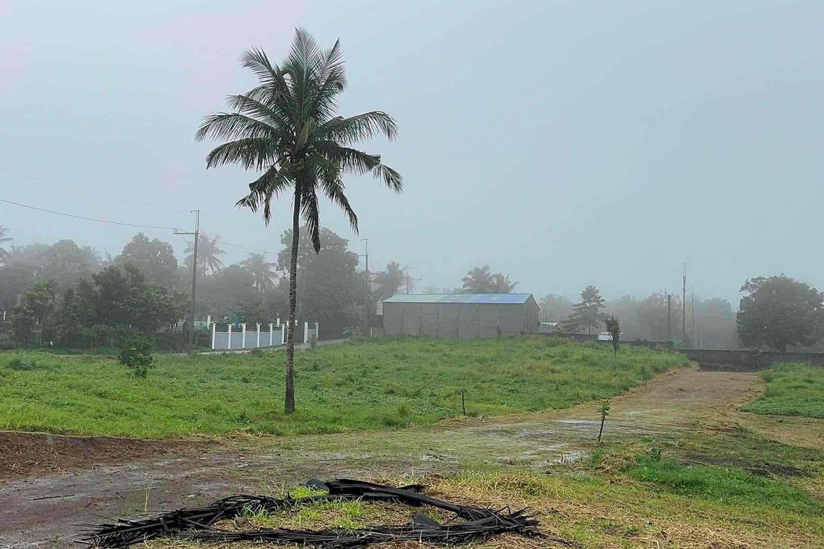 Land for Sale in Mangas I, Alfonso, Cavite – photo 2