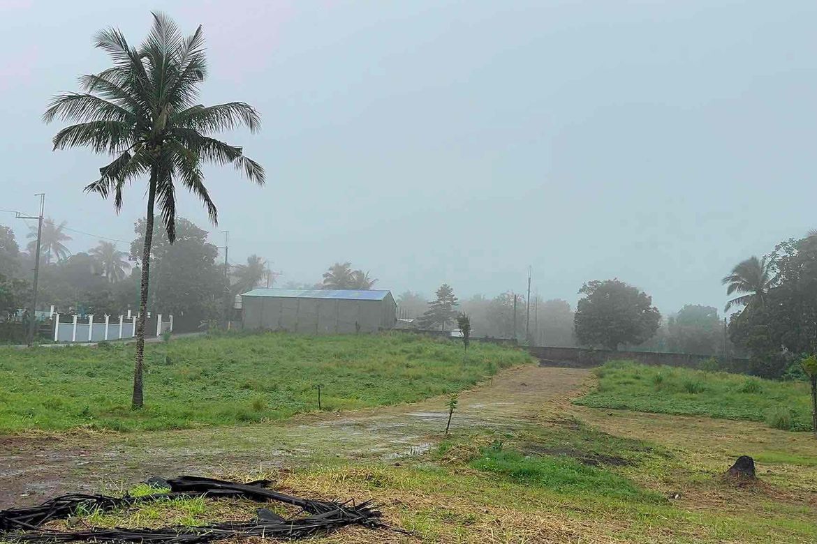 Land for Sale in Mangas I, Alfonso, Cavite – photo 3