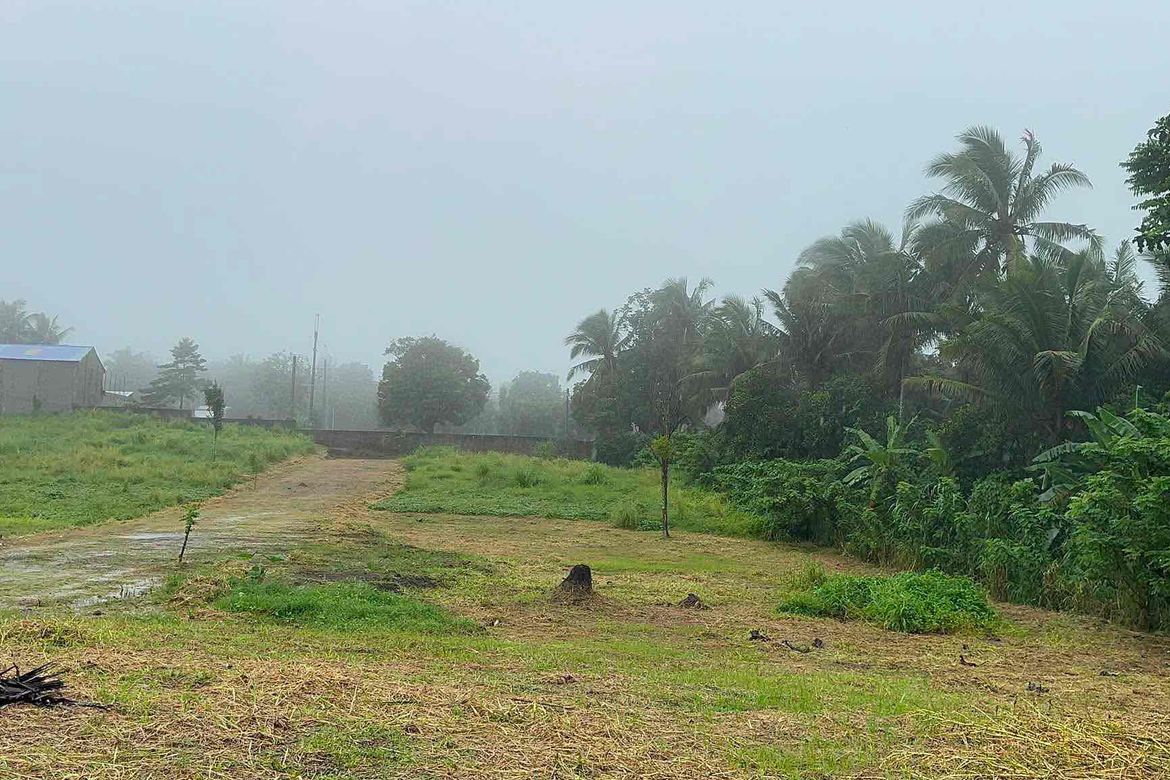Land for Sale in Mangas I, Alfonso, Cavite – photo 4