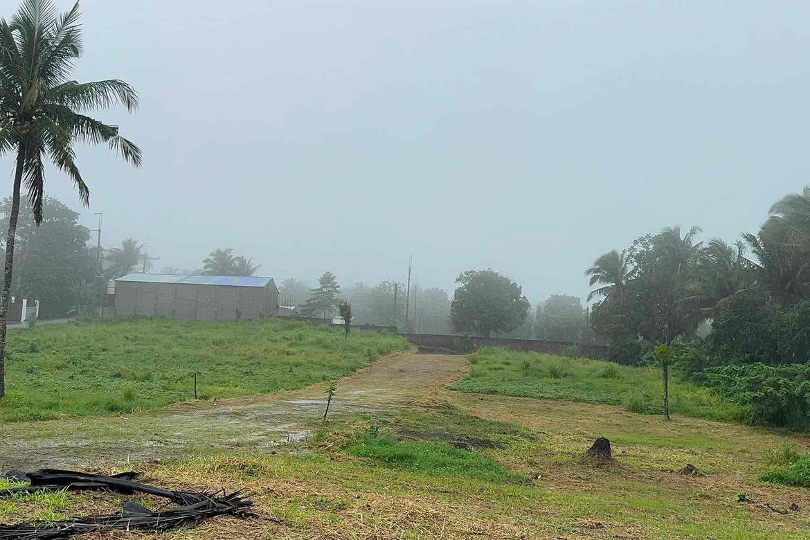 Land for Sale in Mangas I, Alfonso, Cavite – photo 6