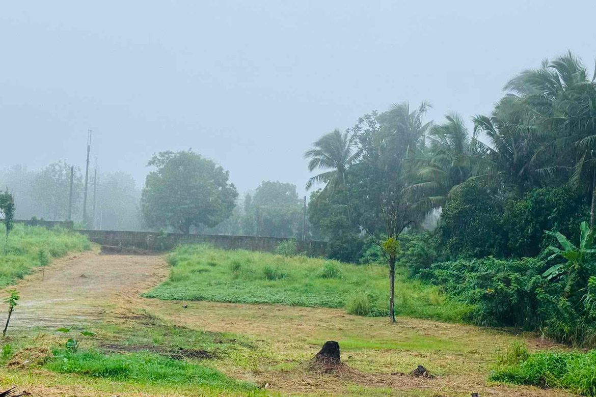 Land for Sale in Mangas I, Alfonso, Cavite – photo 7