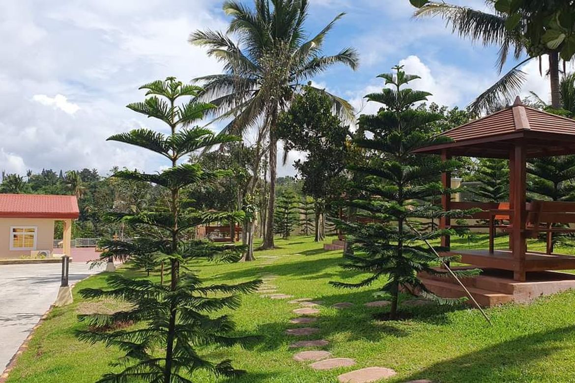 Land for Sale in Mangas II, Alfonso, Cavite