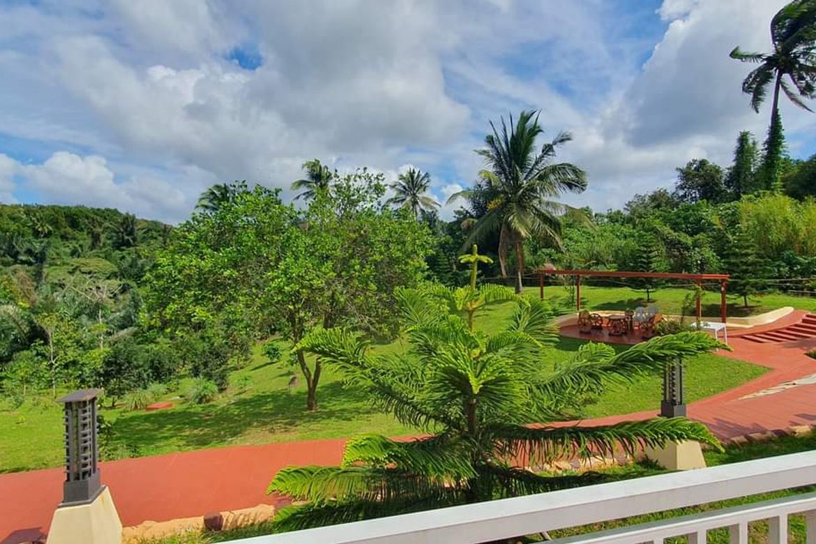 Land for Sale in Mangas II, Alfonso, Cavite – photo 3