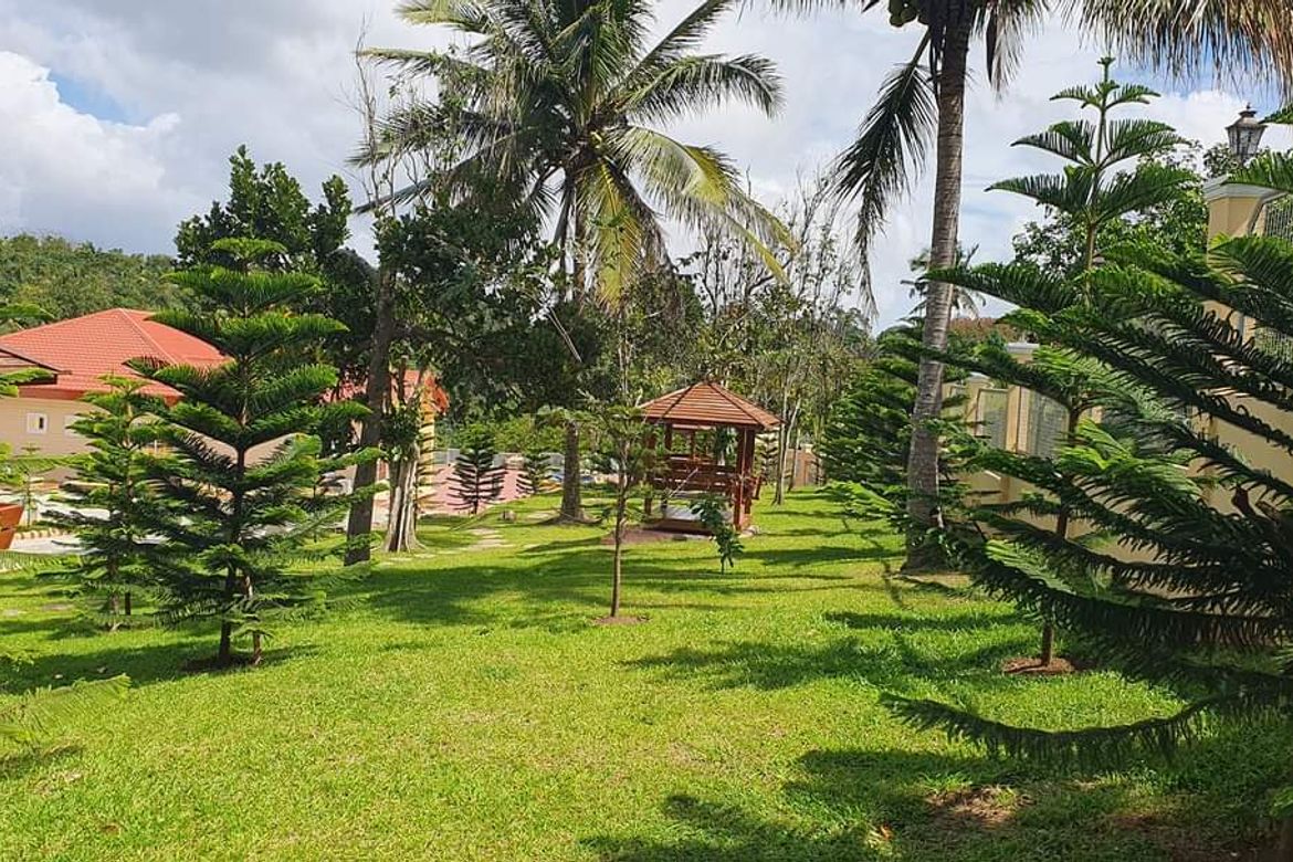 Land for Sale in Mangas II, Alfonso, Cavite – photo 5
