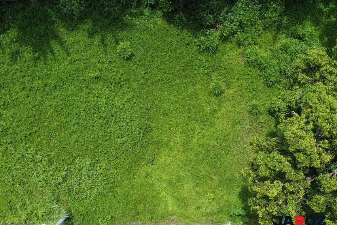 Land for Sale in Mangas II, Alfonso, Cavite
