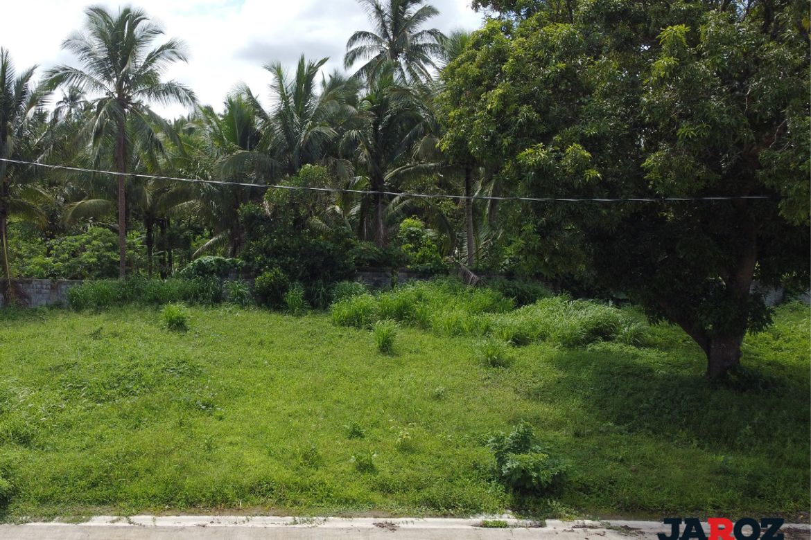 Land for Sale in Mangas II, Alfonso, Cavite – photo 2