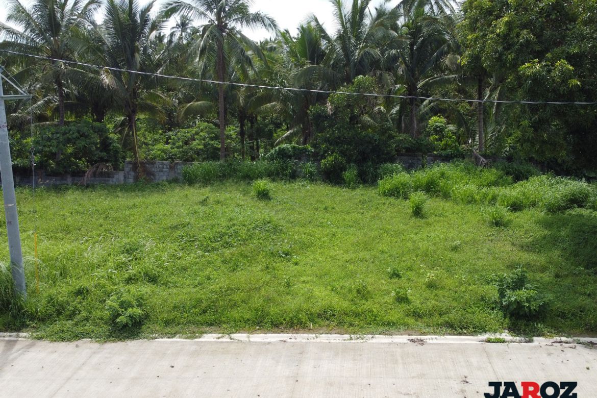 Land for Sale in Mangas II, Alfonso, Cavite – photo 3