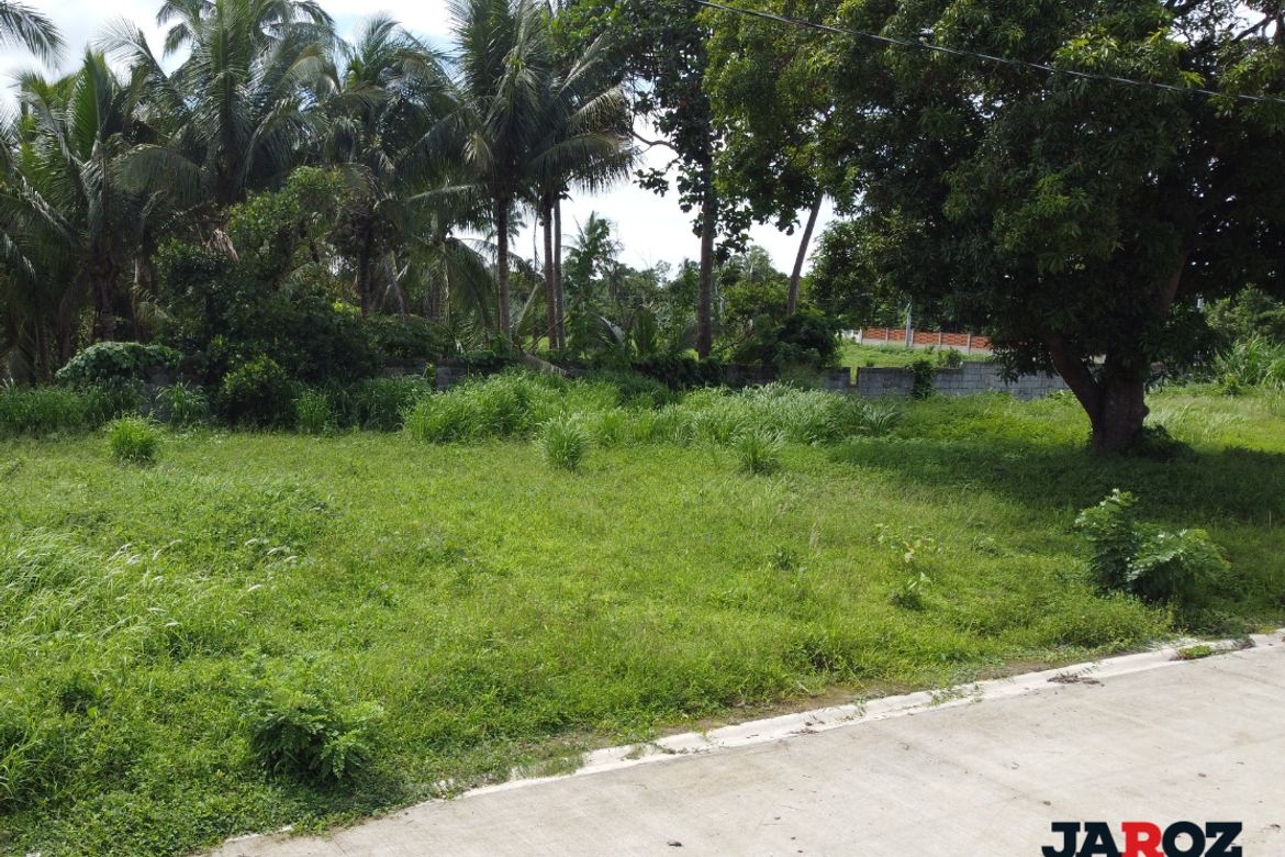 Land for Sale in Mangas II, Alfonso, Cavite – photo 4