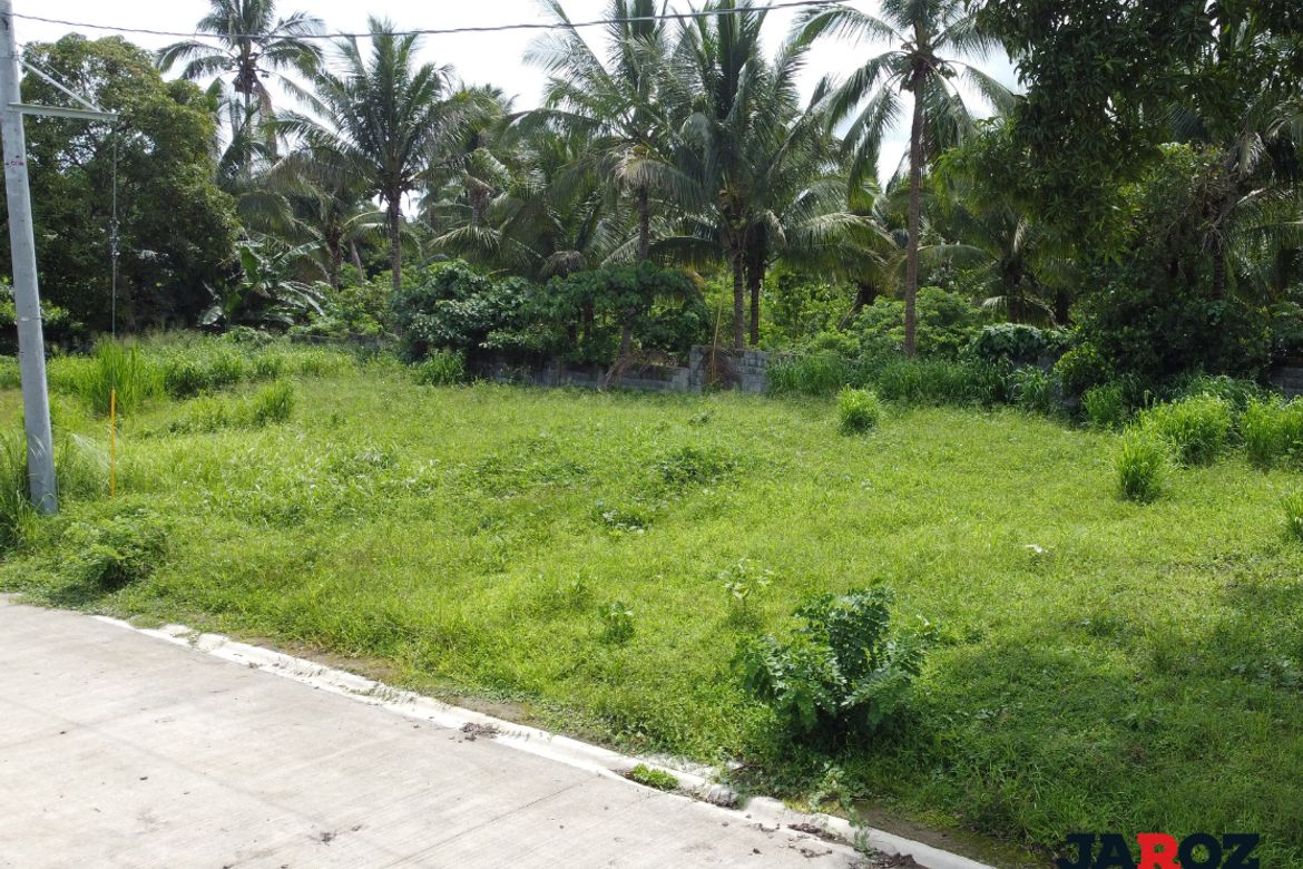 Land for Sale in Mangas II, Alfonso, Cavite – photo 5