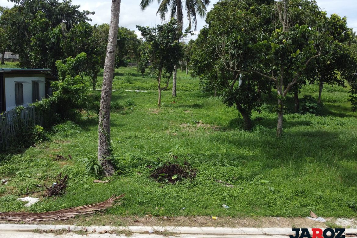 Land for Sale in Mangas II, Alfonso, Cavite